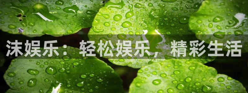 焦点娱乐