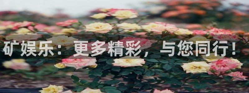 焦点娱乐体育在线注册：矿娱乐：更多精彩，与您同行！
