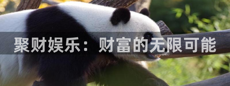 焦点娱乐凯捷注册：聚财娱乐：财富的无限可能