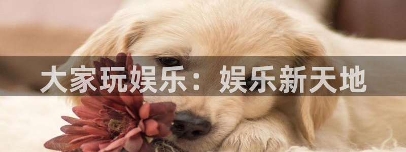 焦点娱乐注册网站：大家玩娱乐：娱乐新天地