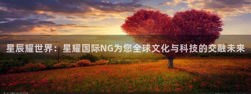 焦点娱乐平台注册：星辰耀世界：星耀国际NG为您全球文化与科技的交融未来