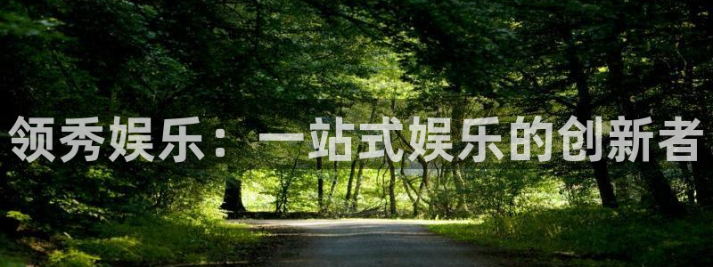 焦点娱乐网站平台：领秀娱乐：一站式娱乐的创新者