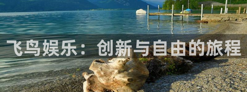 焦点娱乐体育app下载