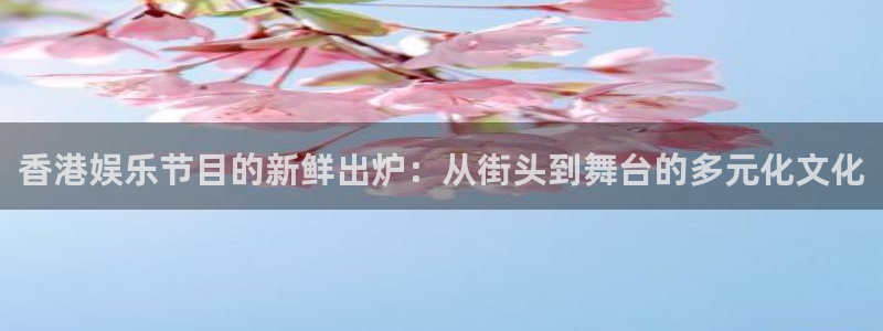 焦点娱乐平台链接：香港娱乐节目的新鲜出炉：从街头到舞台的多元化文化