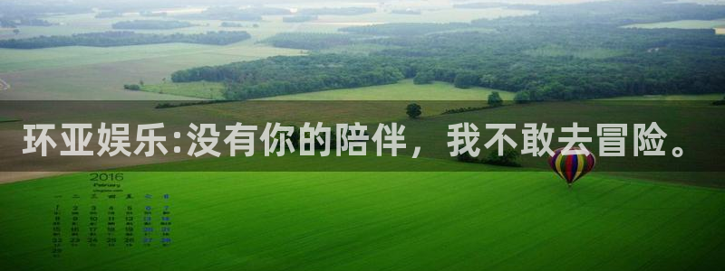 焦点娱乐预测在线预测