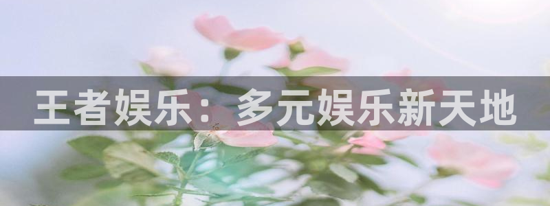 焦点娱乐在线下载