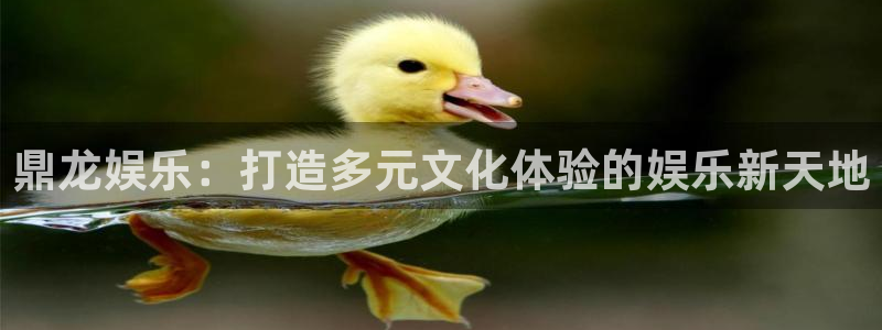 焦点娱乐可靠吗