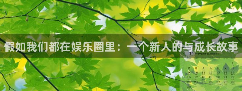 焦点娱乐体育网页版入口