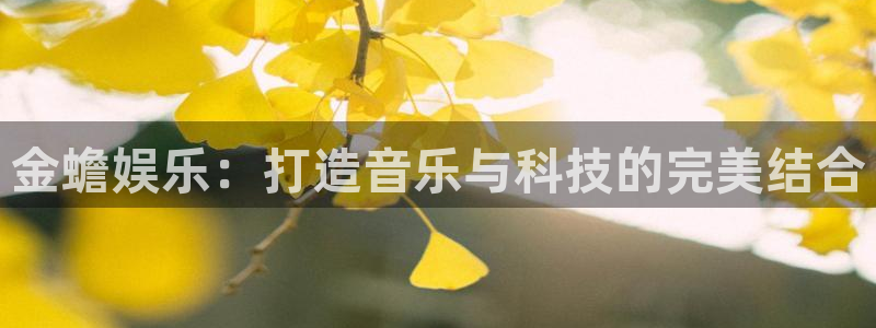 焦点娱乐网页版登：金蟾娱乐：打造音乐与科技的完美结合