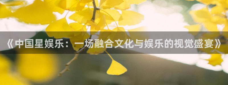 焦点娱乐体育官网注册：《中国星娱乐：一场融合文化与娱乐的视觉盛宴》