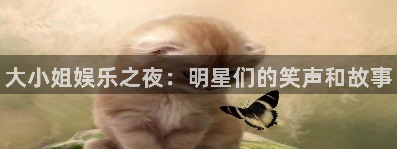 焦点娱乐体育合法嘛：大小姐娱乐之夜：明星们的笑声和故事