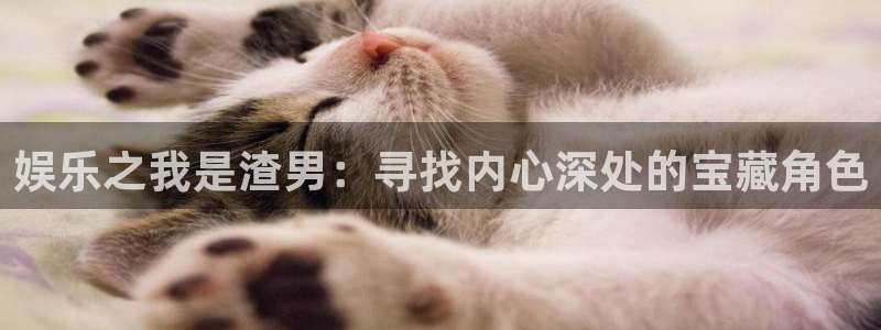 焦点娱乐体育注册代理：娱乐之我是渣男：寻找内心深处的宝藏角色