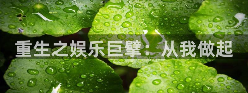 焦点娱乐是什么平台