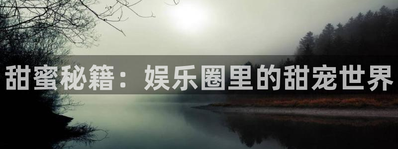 焦点娱乐官网下载