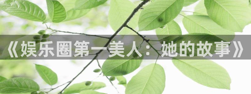 焦点娱乐是正规平台吗：《娱乐圈第一美人：她的故事》