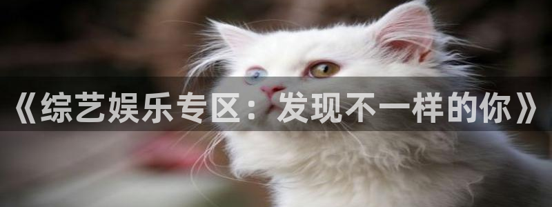 焦点娱乐体育和杏耀是哪个公司的：《综艺娱乐专区：发现不一样的你》