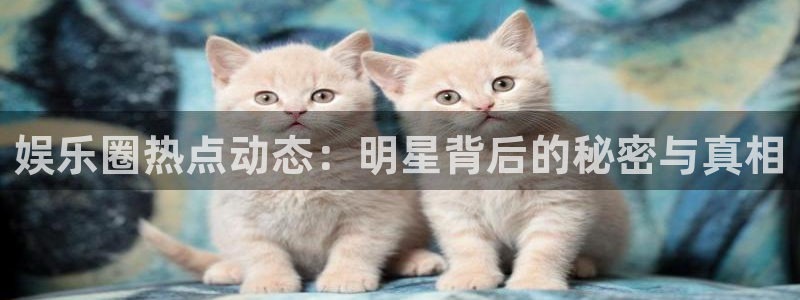 焦点娱乐平台下载入口：娱乐圈热点动态：明星背后的秘密与真相