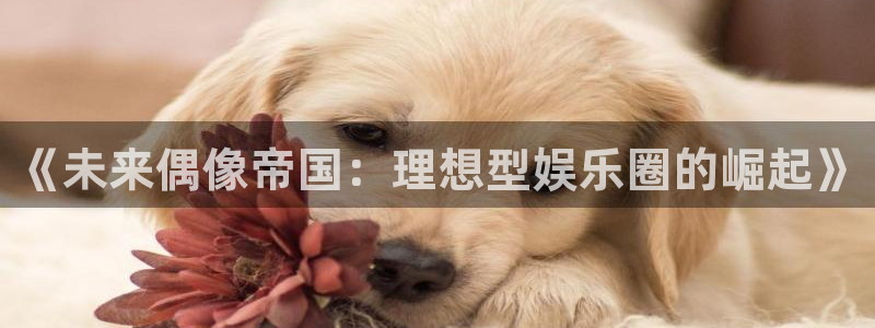 焦点娱乐.ccm：《未来偶像帝国：理想型娱乐圈的崛起》
