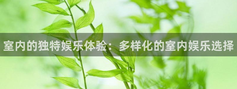 焦点娱乐平台